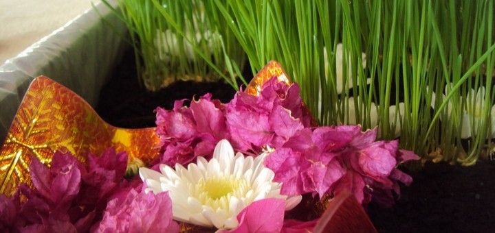 Seminar Tantra Shastra  – Tara sadhana – 15-16 iunie 2013, Bucuresti