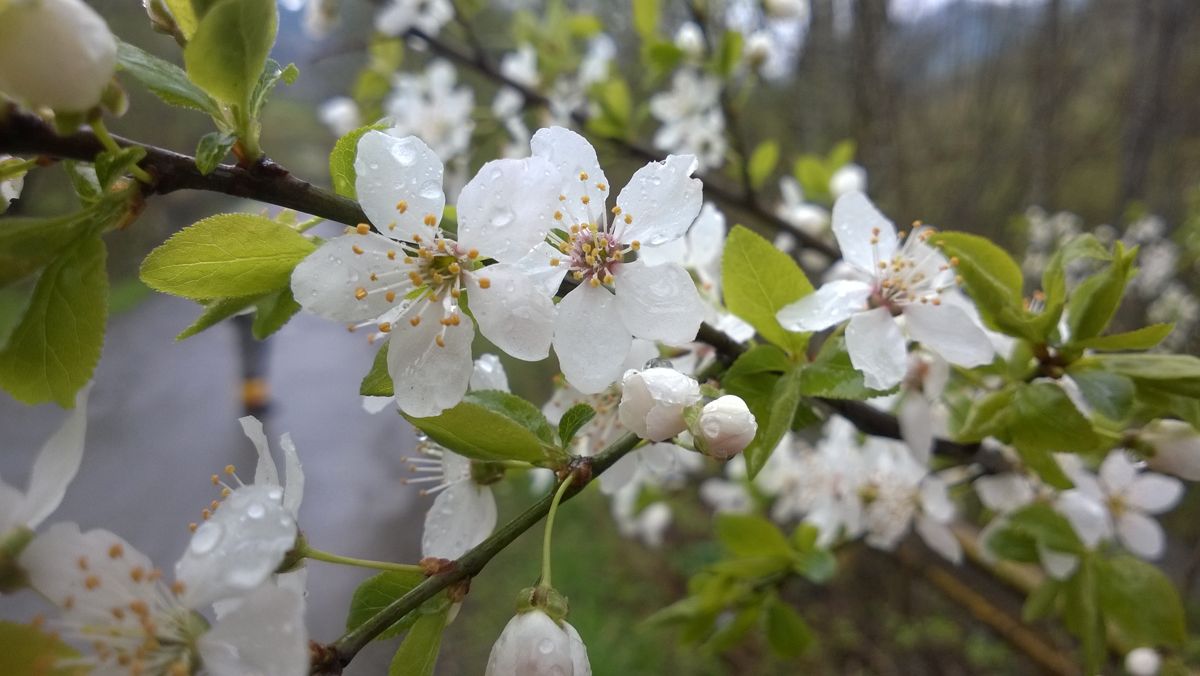 Weekend de yoga şi relaxare, 23-24 mai 2015, Braşov