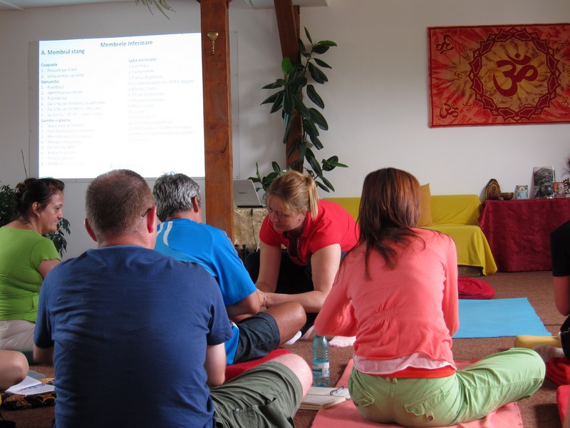 Seminar Do In, 29 aprilie 2017, București