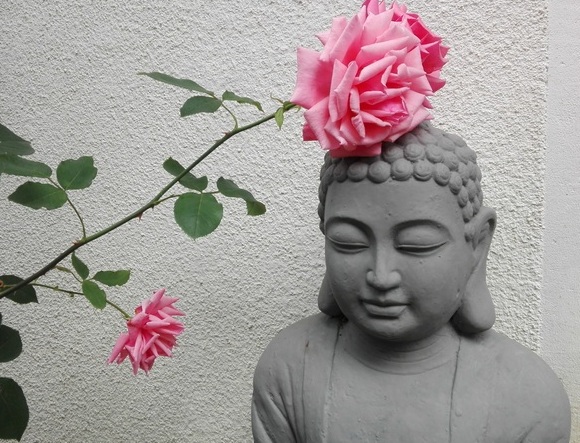 Retragere de meditație, 11-13 octombrie 2019