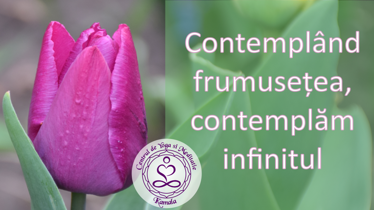Contemplând frumuseţea – contemplăm infinitul (conferință online, 8 mai)