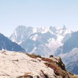 7-day Hridaya Meditation Retreat, 10-18 June