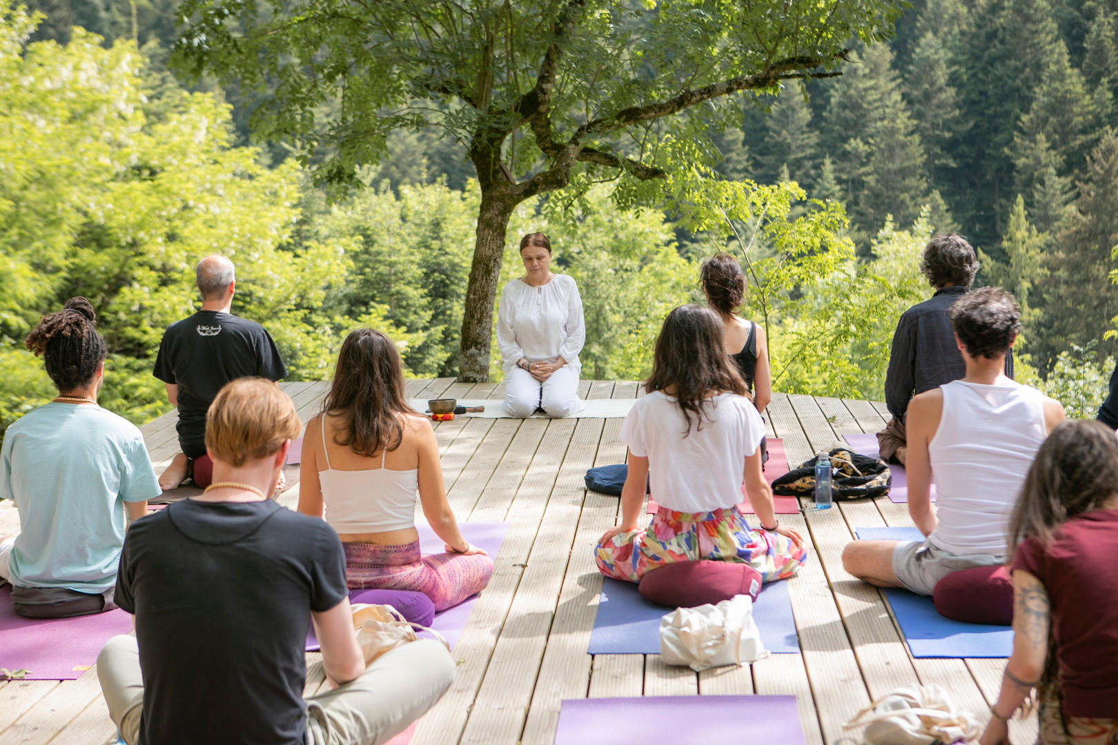 Meditation Retreat, November 8-10, 2024